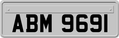ABM9691