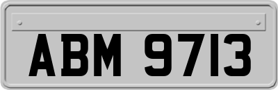 ABM9713