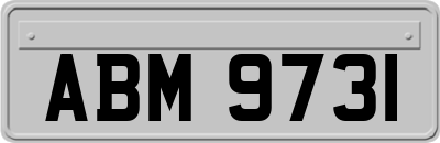 ABM9731