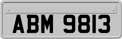 ABM9813