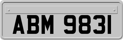 ABM9831