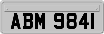 ABM9841