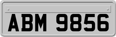 ABM9856