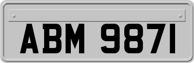 ABM9871