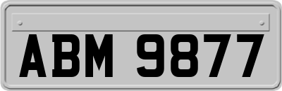 ABM9877
