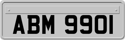ABM9901