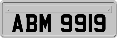 ABM9919