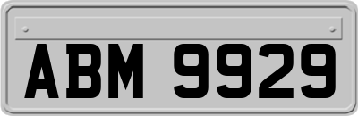 ABM9929