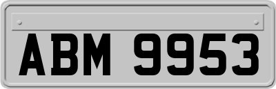 ABM9953