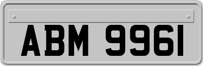 ABM9961