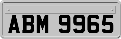 ABM9965