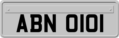 ABN0101