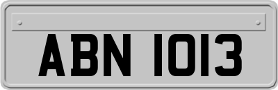 ABN1013