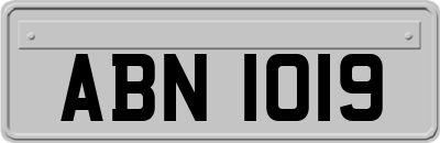 ABN1019
