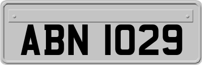 ABN1029