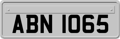 ABN1065