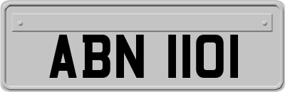 ABN1101
