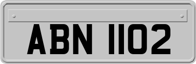 ABN1102