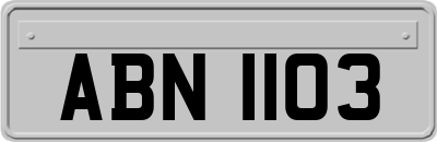 ABN1103