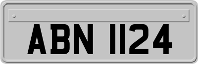 ABN1124