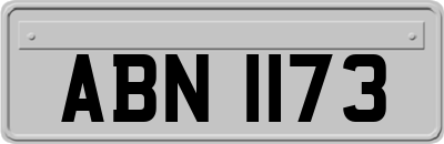 ABN1173