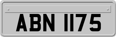 ABN1175