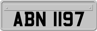 ABN1197