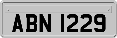 ABN1229
