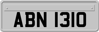 ABN1310