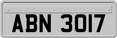 ABN3017