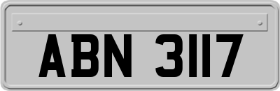 ABN3117