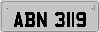 ABN3119
