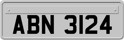 ABN3124