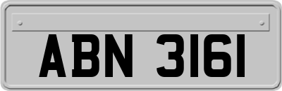 ABN3161