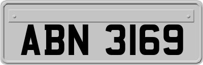 ABN3169