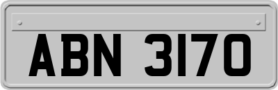 ABN3170