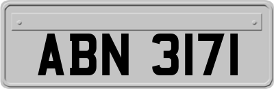 ABN3171