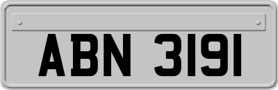 ABN3191