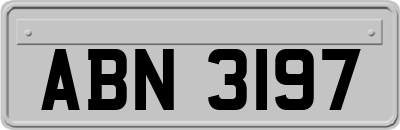 ABN3197