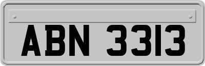 ABN3313