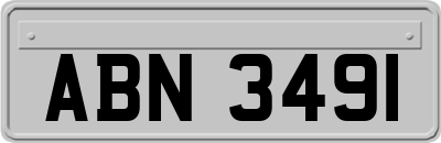 ABN3491