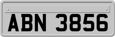 ABN3856