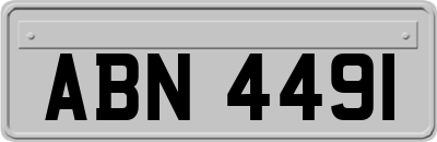 ABN4491