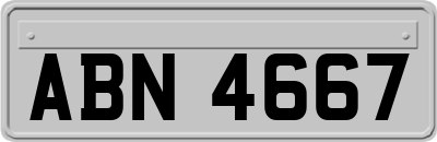 ABN4667