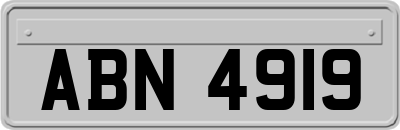 ABN4919