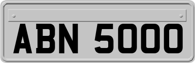 ABN5000