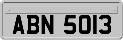 ABN5013