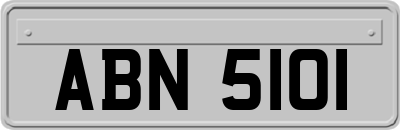 ABN5101