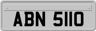 ABN5110