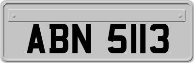 ABN5113
